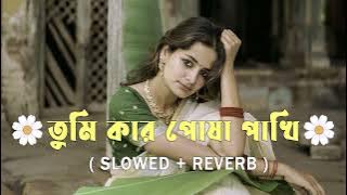 তুমি কার পোষা পাখি | Tumi Kar Posha Pakhi ( Slowed Reverb ) Bangla Lofi Song | Ridoy Jj Lofi Queen
