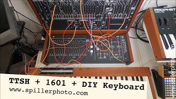 TTSH, ARP 2600 clone with 1601 sequencer and a DIY Keyboard