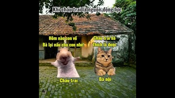 Kì tích xuất hiện khi nghe thấy tiếng cháu trai #meme #cat #pets