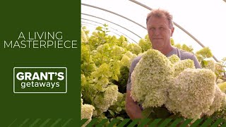 Oregon's Hydrangea Ranch is a living masterpiece | Grant's Getaways