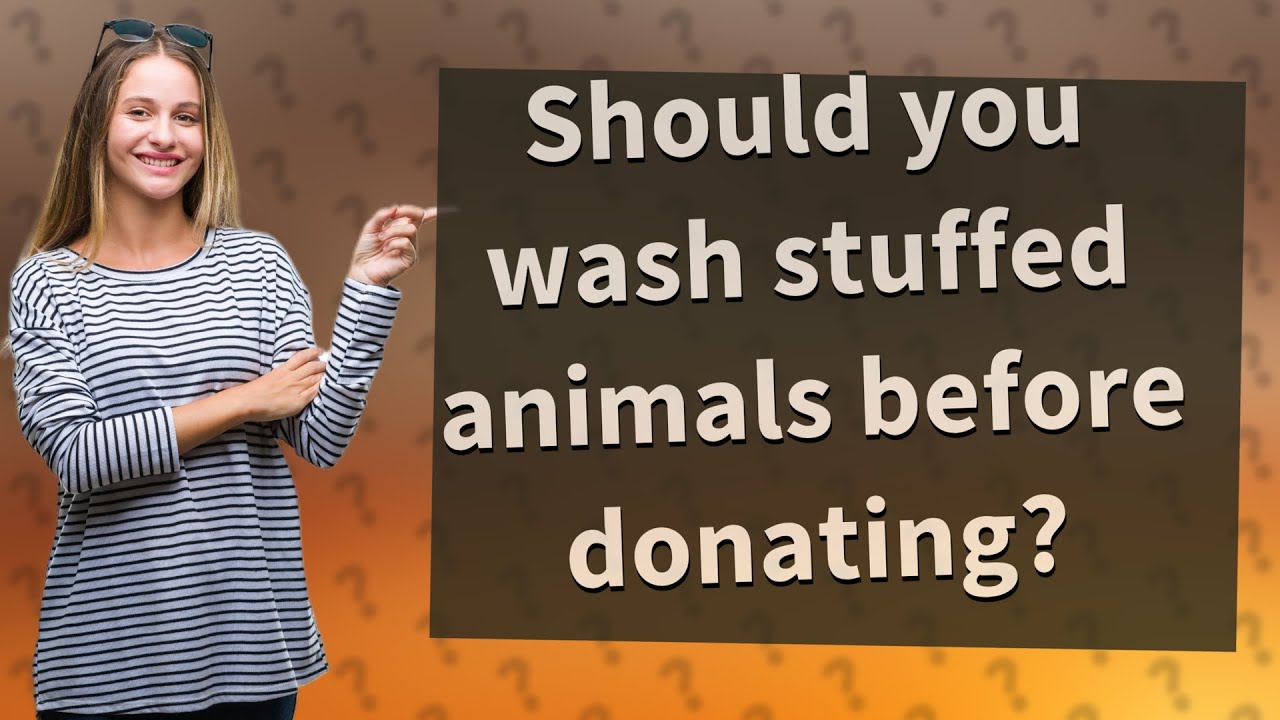 Should you wash stuffed animals before donating? YouTube