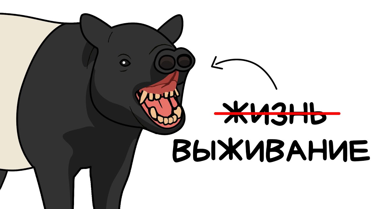 Ты - Чепрачный Тапир (И ЭТО ВСЯ ТВОЯ ЖИЗНЬ)