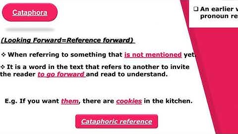 Systemic Functional Linguistics