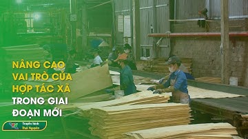 Nâng cao vai trò của hợp tác xã trong giai đoạn mới | Thái Nguyên TV