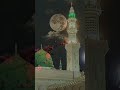 🌹Ek Mai Hi Nahi Un Par Kurban Jamana Hai🌹short vidio# #islamicvideo #islamicpost