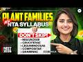 New Plant Families | NTA New Syllabus | Out of NCERT | Morphology of Flowering Plants | Seep Pahuja