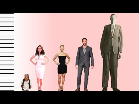 jorden Harmoni Tilgivende How Tall Is Kat Dennings? - Celebrity Height Comparison! - YouTube