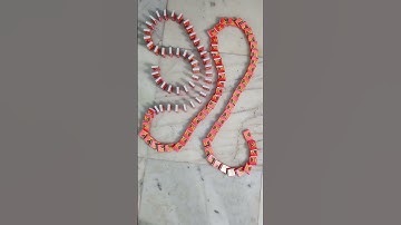 Asmr | Domino Effect Taking Over The Internet #882