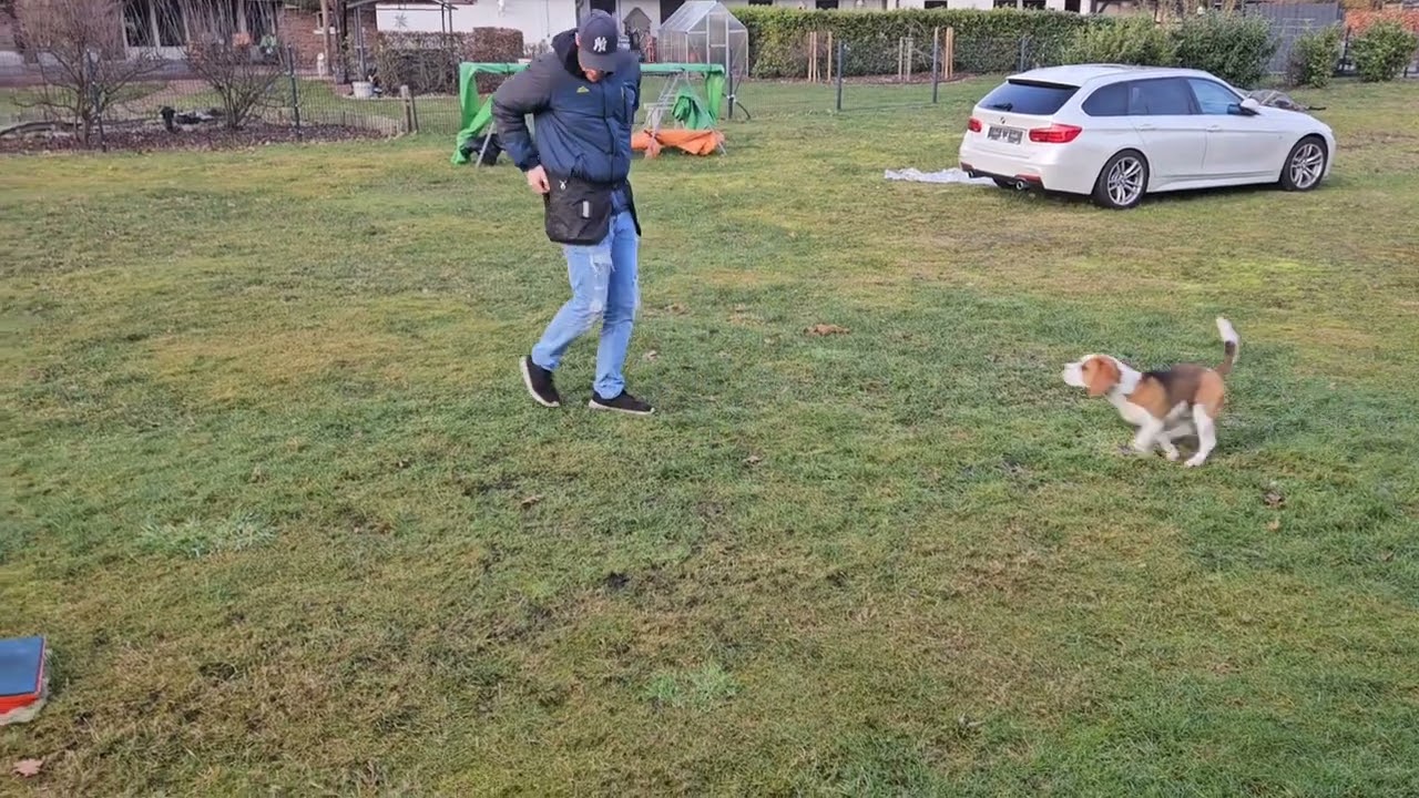 Boxgame mit größerem Abstand