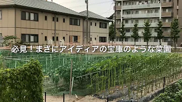 Download 庭 菜園 レイアウト Mp4 Mp3 Download 庭 菜園 レイアウト Mp4 Mp3