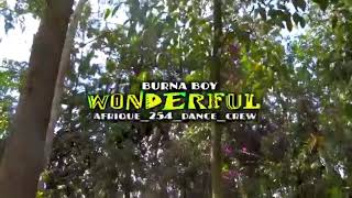 WONDERFUL OFFICIAL DANCE VIDEO. Song :Wonderful   Artist:burnaboy ft afrique 254 dance crew