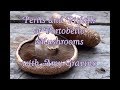 Perils and Pitfalls of Portobello Mushrooms with Amy Gravino! [Director&#39;s Cut]