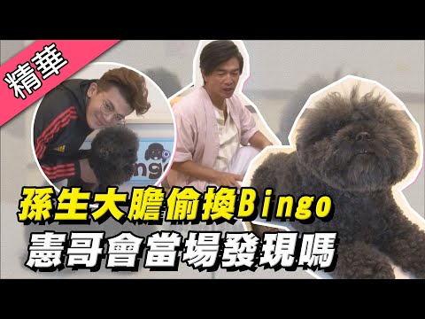 【Bingo!!?】