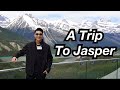 Up Close With Bears in Jasper! | Darren Espanto