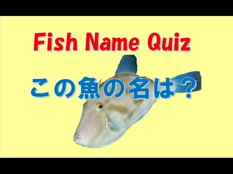 Japanese Fish Name日本の魚の名前