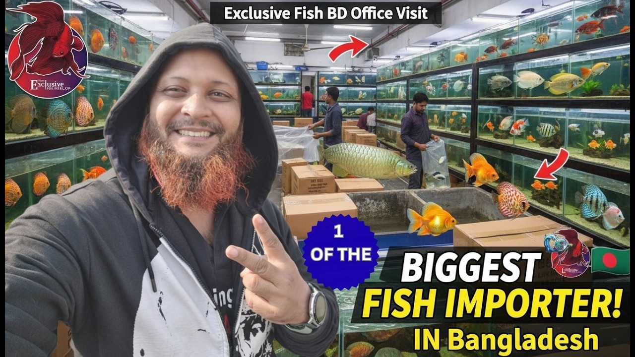 BIGGEST FISH IMPORTER! The Exclusive Fish BD CO., LTD. #landofaquarist #ExclusiveFishBD