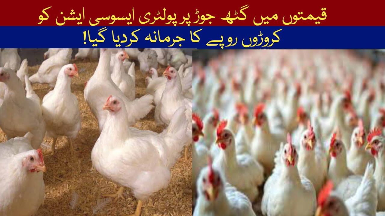 Massive Fine on Poultry Association! | Crores Charged for Price Fixing