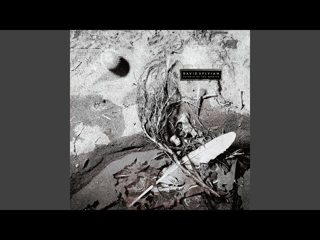 David Sylvian - Waterfront