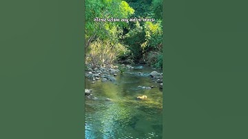 Jay Girnari.... || Junagadh Gujarat || #gj11 #junagadhgirnar #junagadh