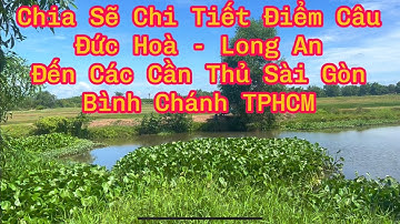 Câu Cá Rô Đồng - Chia Sẽ Điểm Câu Cầu Láng Ven Đức Hoà, Long An Gần TPHCM (p10) - Hoàng Trúc fishing