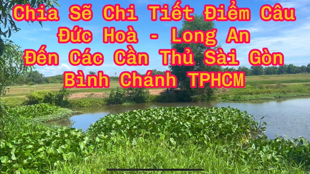Câu Cá Rô Đồng - Chia Sẽ Điểm Câu Cầu Láng Ven Đức Hoà, Long An Gần TPHCM (p10) - Hoàng Trúc fishing