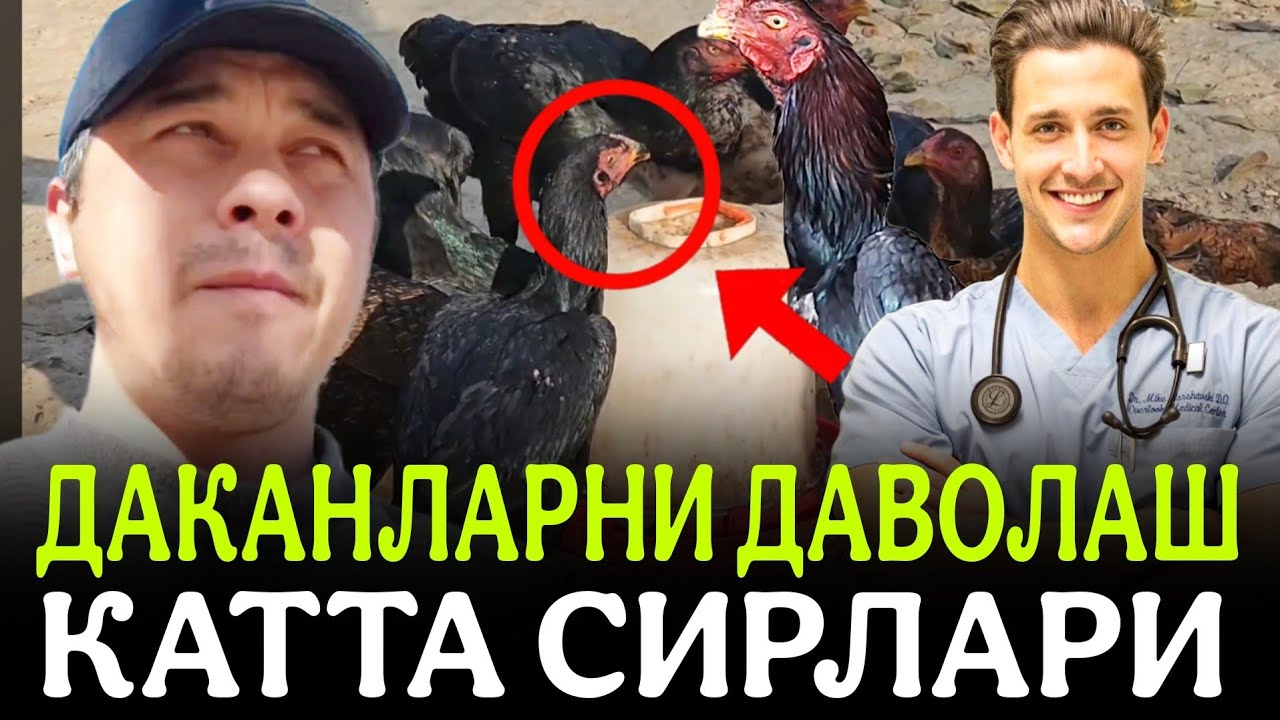 Hammaga kerakli boʻlgan maʼlumotlar