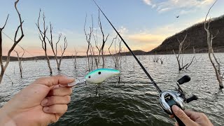 Pescando Lobinas en la Sierra de Sinaloa! | Presa “El Salto”