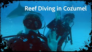 Cozumel Dive Trip January 2023