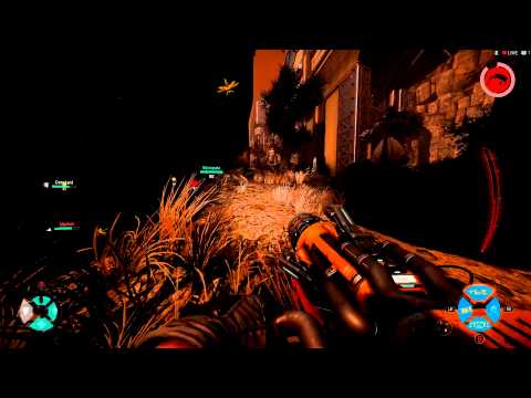 Evolve - Support Class Hank