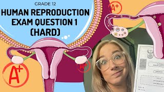 Female Reproduction Exam Q1 (HARD)