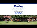 The Darley Virtual Stallion Parade 2020