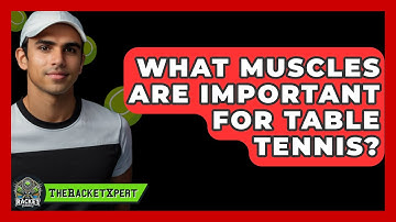 What Muscles Are Important For Table Tennis? - The Racket Xpert