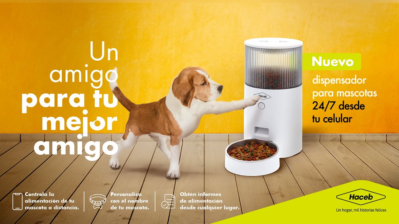 Aumentar pasta sustantivo Dispensador de comida para perros y gatos | Haceb