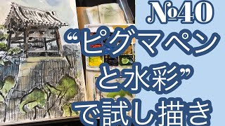 №040 "ピグマペンと水彩”試してみた！黒川しづこ Watercolor Tips