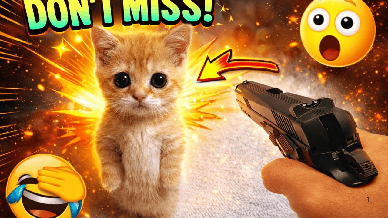 DON’T MISS 😱🔥 | Viral Funny Pet Moments That’ll Make You Cry Laughing 😂