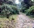 Anamudi Shola National Park video