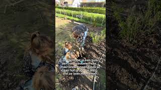 Pov: verbouwen met kinderen. #renovation #klussen #diy #verbouwen