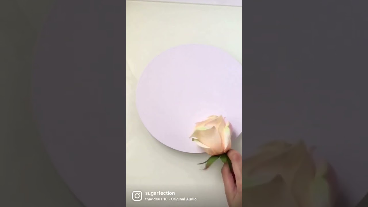 A little before/after glam✨