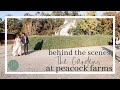 BEHIND THE SCENES: The Gardens at Peacock Farms