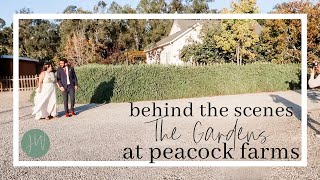 BEHIND THE SCENES: The Gardens at Peacock Farms