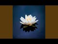 White Lotus (E-Mers Mix)