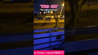 "STASI - DOG" 🚓🔍🧐 "Der Laternenumzug !" 28.11.2025 (Magdeburg, Sachsen - Anhalt 🌍📍)