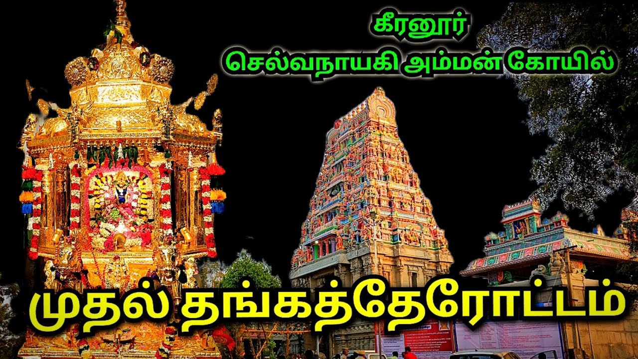 🔥 Keeranur Selvanayaki Amman Thanga Therottam 😍 கீரனூர் செல்வநாயகி அம்மன் தங்கத்தேரோட்டம் ❤️🪔