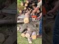 Stihl Chainsaws Full Video Linked Real And Toys Stihl Shorts Waylonsworld Fatherson