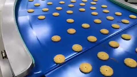 Production of crisp biscuit  soft  biscuits  tunnel oven biscuits line