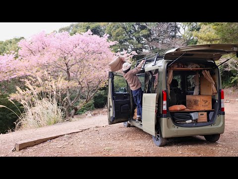 【2泊3日車中泊旅】春を探す私のひとり旅。軽自動車のソロキャンプ| spring car camping