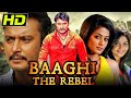 Baaghi The Rebel (Ambareesha) Kannada Hindi Dubbed Movie | Darshan, Priyamani, Rachita Ram