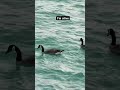 Music Song Lyrics Love Foryou Foryou Beautiful Travel Ytshorts Viralshorts2024 mp3