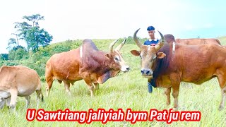 Mano ba lah ban pynrem ia u Saw radbah #satya #sports #lieh #Mynthna