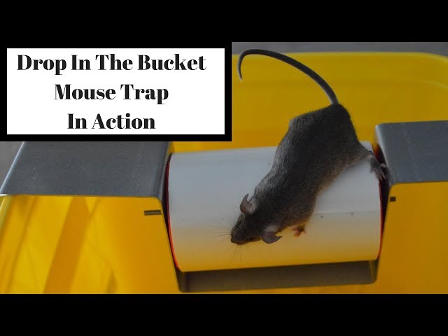 TravelTopp™ Bucket Mouse Trap